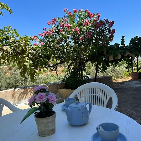 Casa Rural Del Saz Йесте Экстерьер фото