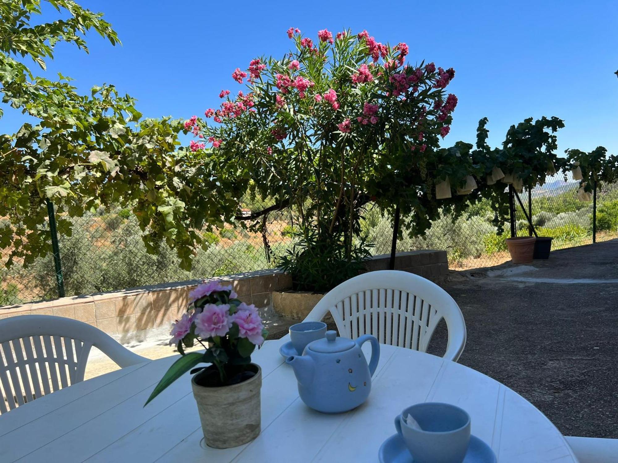 Casa Rural Del Saz Йесте Экстерьер фото
